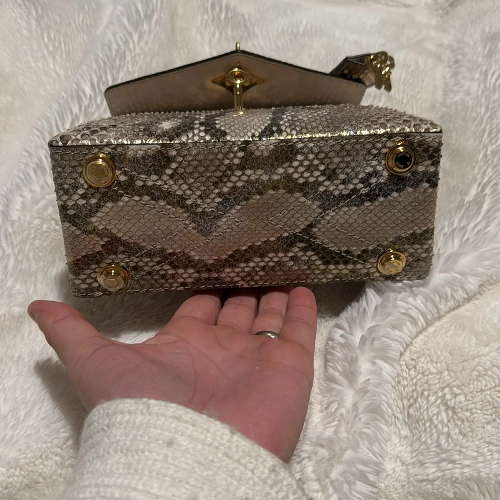 Louis Vuitton Exotic (python)collection - Picture 11 of 13